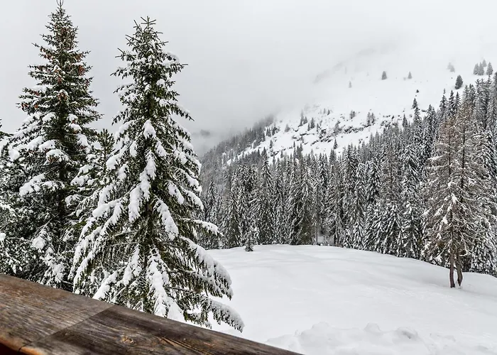 Aurone - Con Biosauna Apartamento